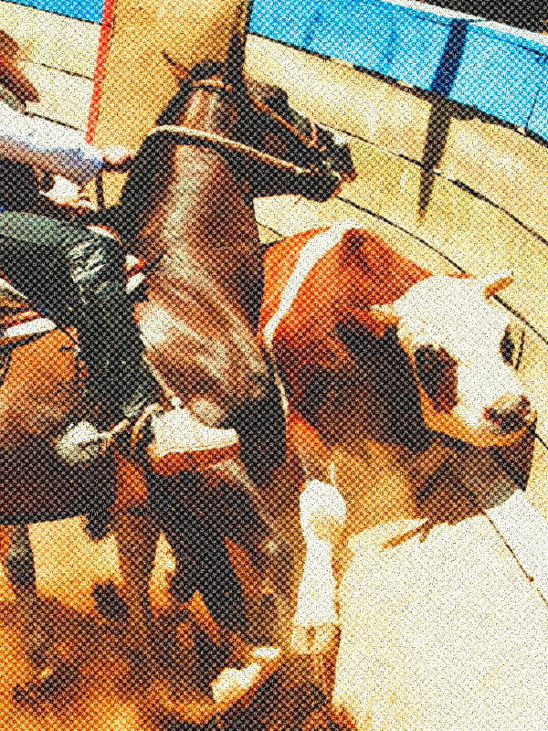 ImagenRodeo001