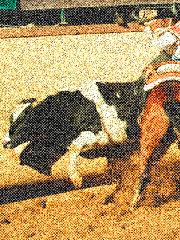ImagenRodeo002
