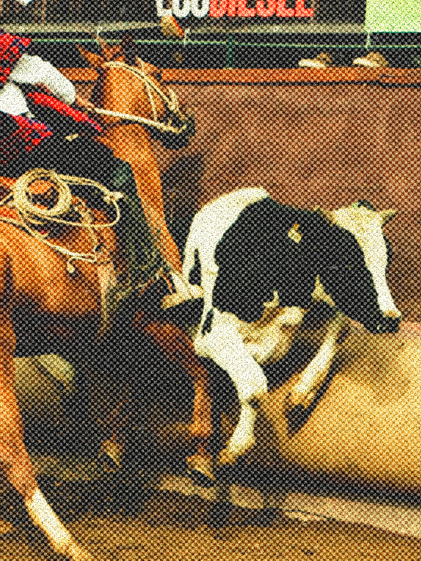 ImagenRodeo003