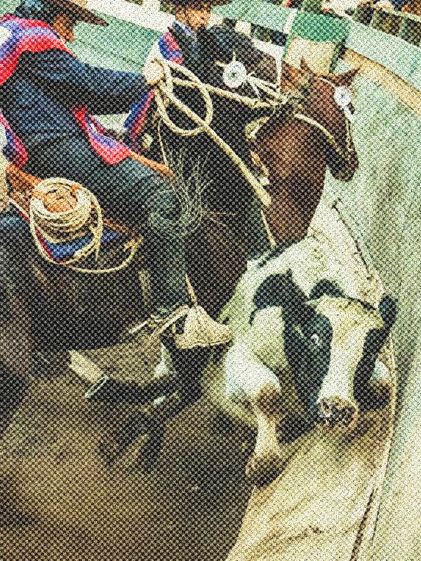 ImagenRodeo004