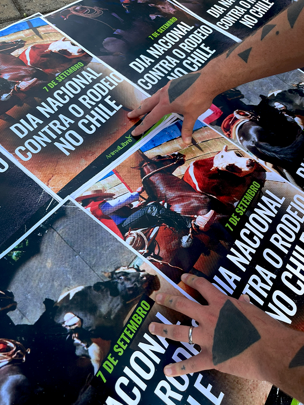 ActividadesDíaNacionalContraElRodeo003