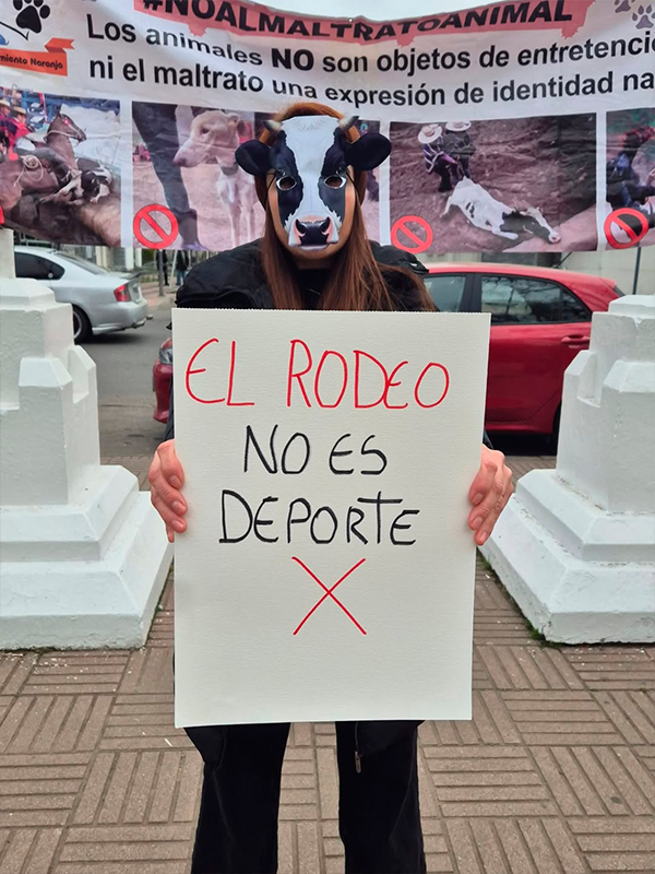 ActividadesDíaNacionalContraElRodeo006