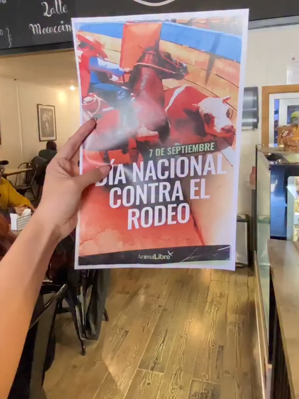 ActividadesDíaNacionalContraElRodeo008