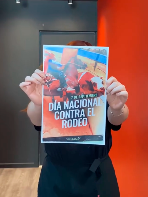 ActividadesDíaNacionalContraElRodeo014