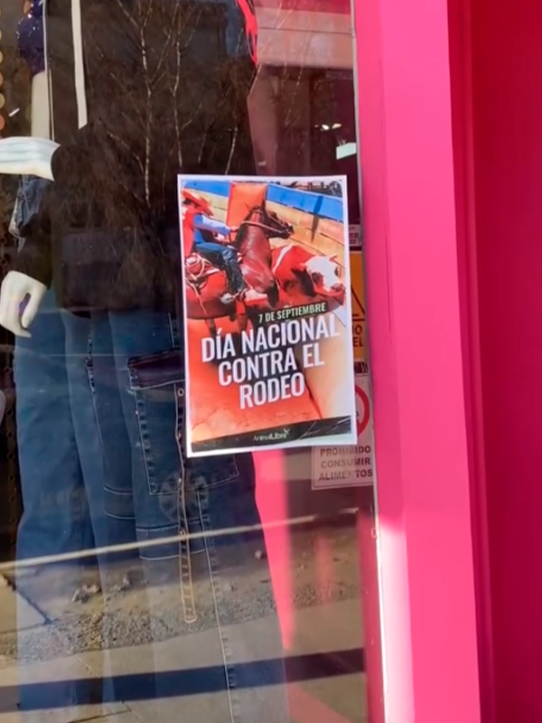 ActividadesDíaNacionalContraElRodeo017