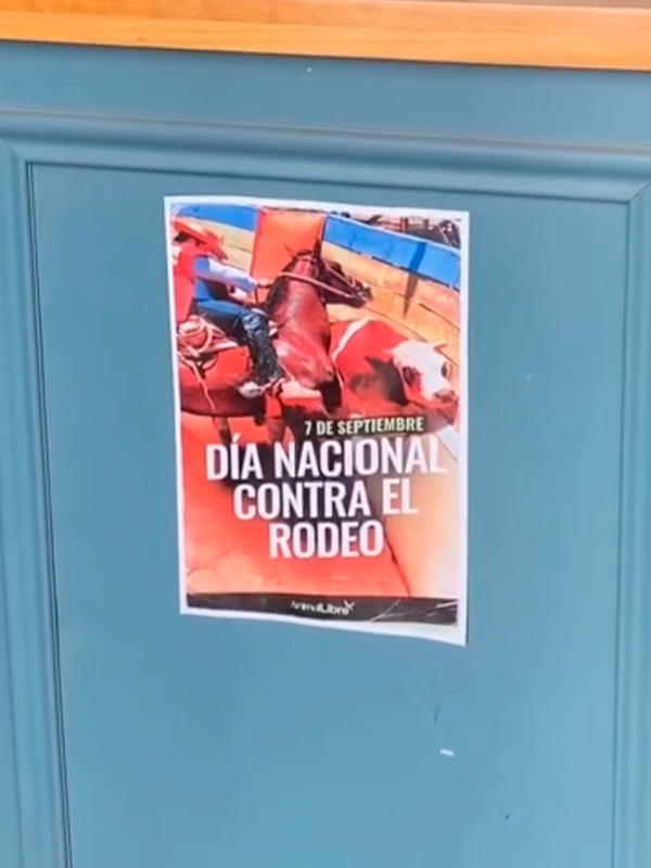 ActividadesDíaNacionalContraElRodeo018