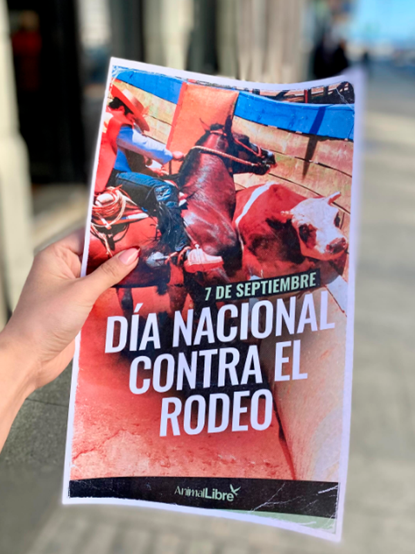 ActividadesDíaNacionalContraElRodeo019