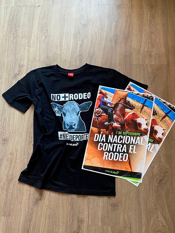 ActividadesDíaNacionalContraElRodeo020