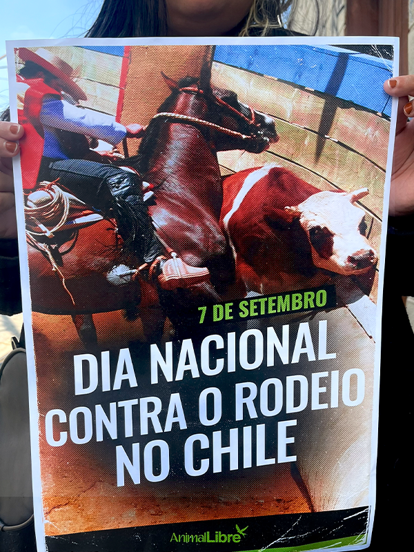 ActividadesDíaNacionalContraElRodeo022