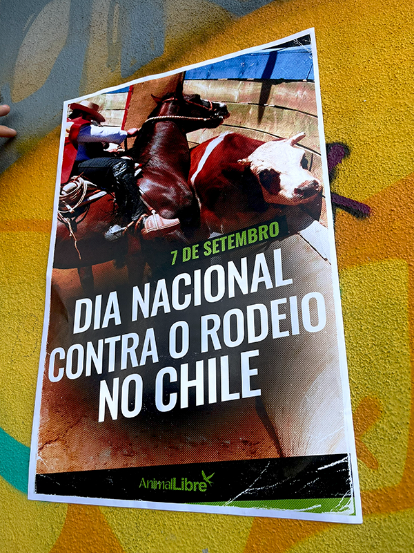 ActividadesDíaNacionalContraElRodeo026