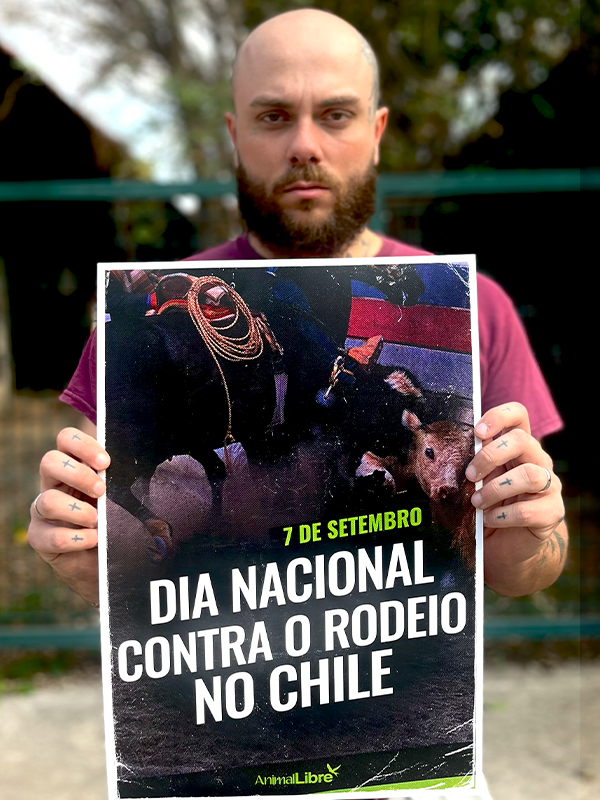 ActividadesDíaNacionalContraElRodeo027