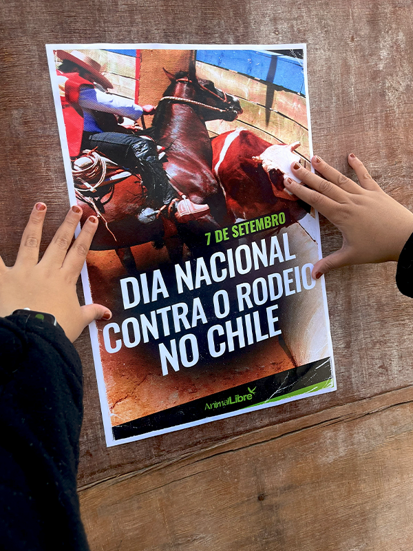 ActividadesDíaNacionalContraElRodeo028